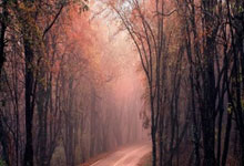 国足潜在对手-1！马特森为荷兰首秀+破门，印尼无缘归化.