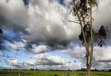 14投31分，战神卡回归！快船32分大胜，哈登17+6，邓恩该进替补.