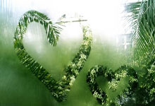 一觉醒来，国羽夺4冠！陈雨菲破荒，2对新组合登顶，头号种子翻车.